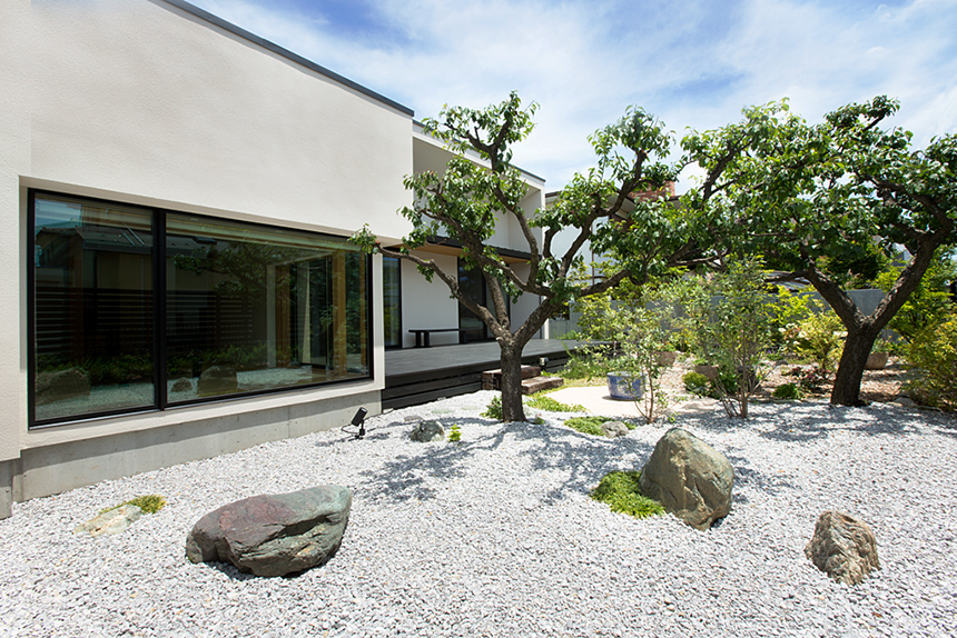 松の木の家の庭とデッキ画像