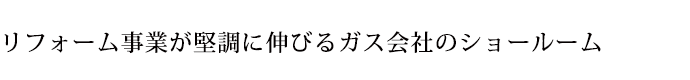 株式会社シンサナミ